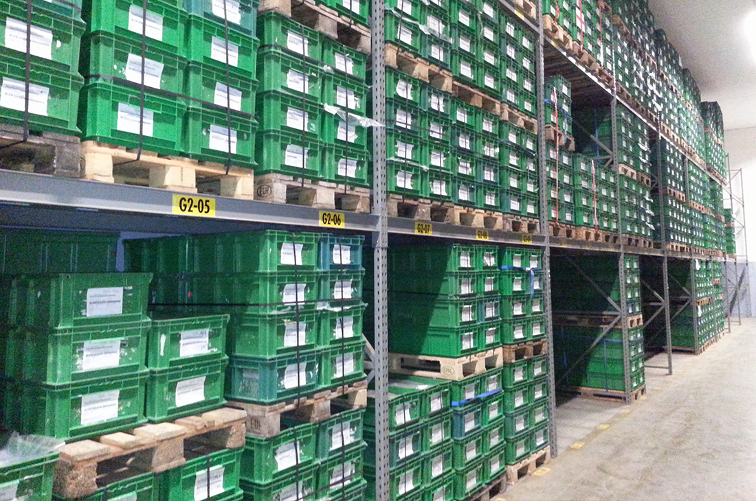 Verpackung & Kommissionierung